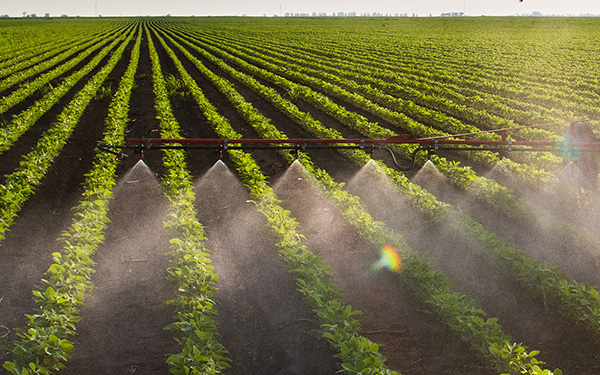 Spraying fertilizer